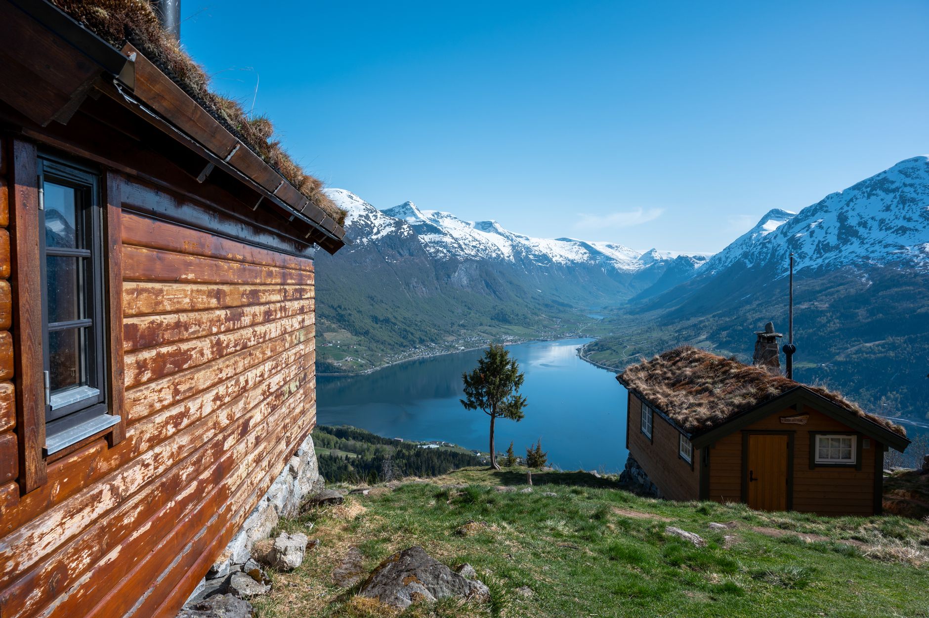 Scenic fjord with tranquil glacial waters and pine-covered cliffs